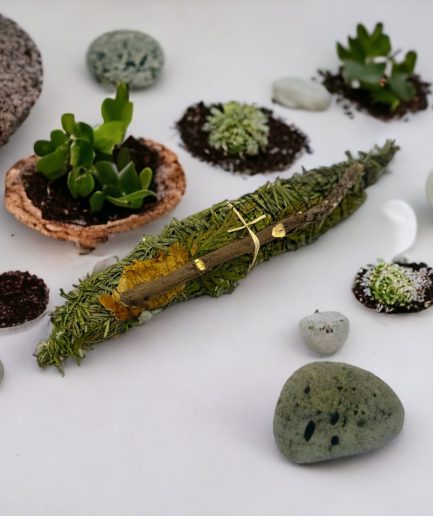 ŠTAP OD LJEKOVITOG BILJA ZA KAĐENJE